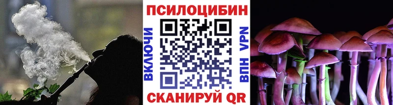 Галлюциногенные грибы GOLDEN TEACHER  мориарти официальный сайт  Махачкала 