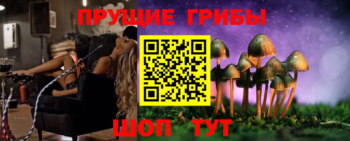 Псилоцибиновые грибы Magic Shrooms Махачкала