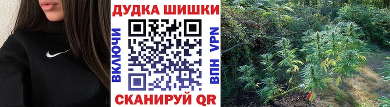 Бошки Шишки Amnesia Махачкала