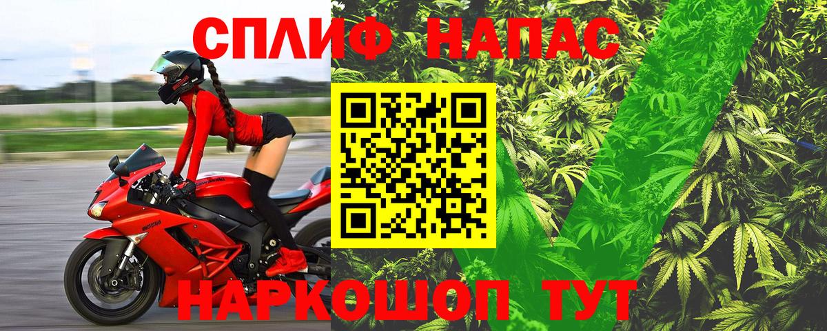 Каннабис ГИДРОПОН  Махачкала  Канабис AK-47  Каннабис сатива 